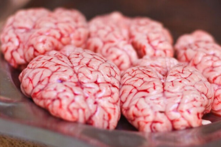 Óc heo chứa cực nhiều chất béo và không phải thực phẩm giúp giảm đau đầu, tăng cường trí nhớ như lời đồn. Ảnh minh họa. 