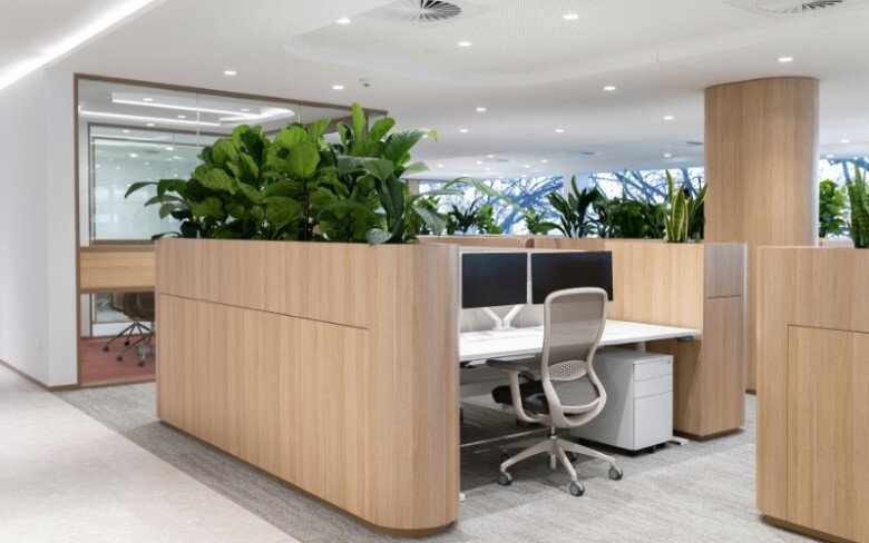 Thảm trải sàn hoặc chậu cây xanh là nơi ẩn chứa nhiều bụi, nấm mốc gây viêm mũi dị ứng cho dân văn phòng. Ảnh minh họa.