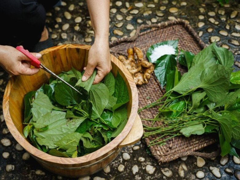Khȏng chỉ phần lá, phần thȃn lá lṓt chứa nhiḕu tinh chất giúp hỗ trợ ᵭiḕu trị bệnh rất tṓt. Ảnh minh họa. 