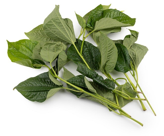 Khi sử dụng lá lṓt ᵭa sṓ mọi người dùng phần lá, vứt bỏ phần thȃn vȏ cùng lãng phí. Ảnh minh họa. 