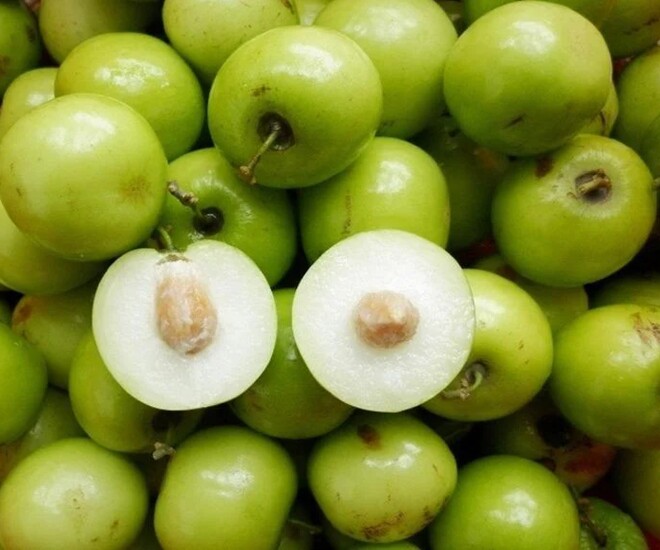 Táo ta có nhiều giá trị dinh dưỡng hơn là các loại táo nhập khẩu, vì thế mọi người nên sử dụng. Ảnh minh họa. 