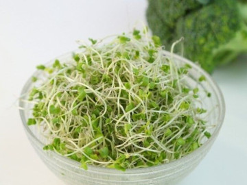 Sức khỏe - Kiểu ăn rau nào có hại mà người Việt hay mắc? Đâu là loại rau tuyệt đối không nên sử dụng khi có dấu hiệu này!