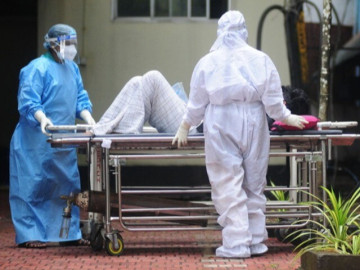 Sức khỏe - Bộ Y tế khuyến cáo nóng tới người dân về virus Nipah: Bệnh có thể lây qua những nguồn nào?