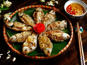 Loại cá nào được ví là cá sống thọ chỉ có ngoài tự nhiên, bổ như nhân sâm nhưng nhiều người chê không sử dụng?