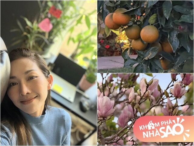 Căn nhà giúp Kim Hiền lấy lại bình yên sau ly hôn chồng thứ 2, khu vườn tuyệt đẹp đầy hoa thơm trái ngọt
