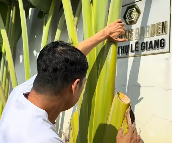 Tiết Cương khi bước vào cổng đã phải thốt lên: Quá hoành tráng! Cửa vào rộng thênh thang. Chị giàu quá rồi chị Giang. 