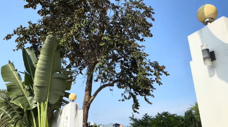 Anh nhận định thêm về chất lượng công trình: Biệt thự này chị Lê Giang xây rất kiên cố, chắc chắn. Riêng tường của biệt thự mà bảo tôi cầm 500 triệu để xây tôi cũng không dám nhận vì rất đẹp, cao.