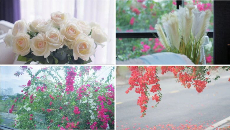 Thiên nhiên tươi mát với nhiều loài hoa ngập tràn nơi sống của Quốc Trường.
