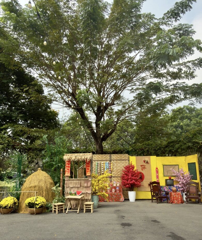 Toàn cảnh tiểu cảnh dưới tán cây đại thụ với mái chòi tranh, đống rơm khô vàng óng và những chậu cúc đại đóa khoe sắc rực rỡ trong nắng sớm Sài Gòn.