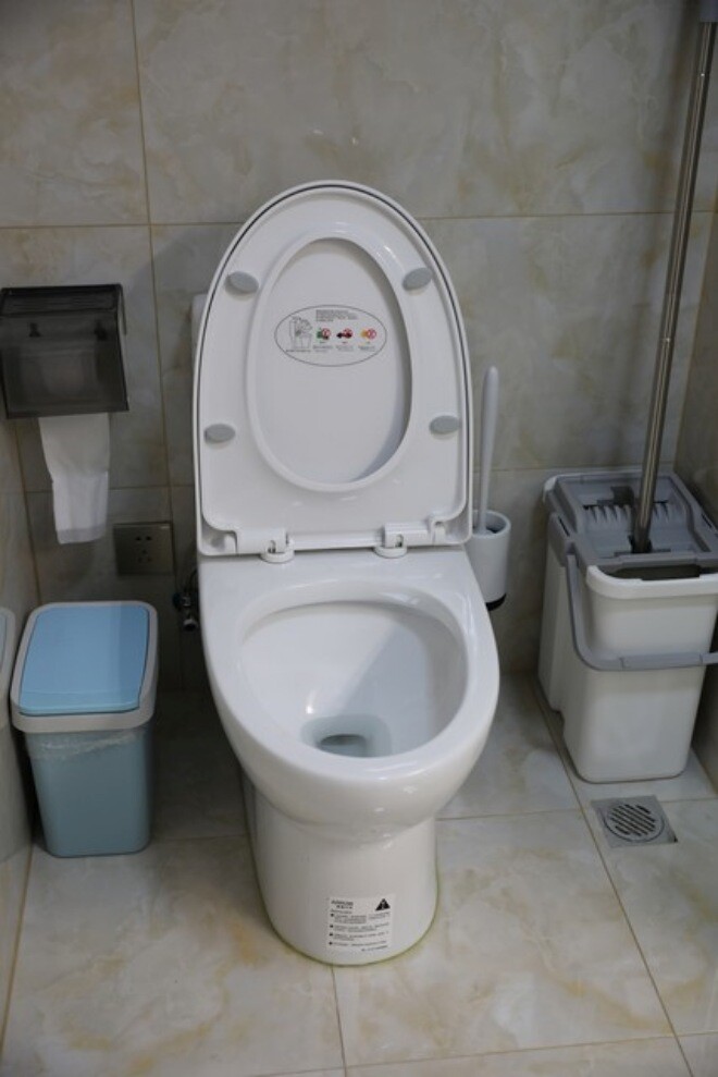 Bồn cầu truyền thống đang dần biến mất khỏi các hộ gia đình? Giờ ai cũng dùng kiểu này, trông thật sang trọng - 2