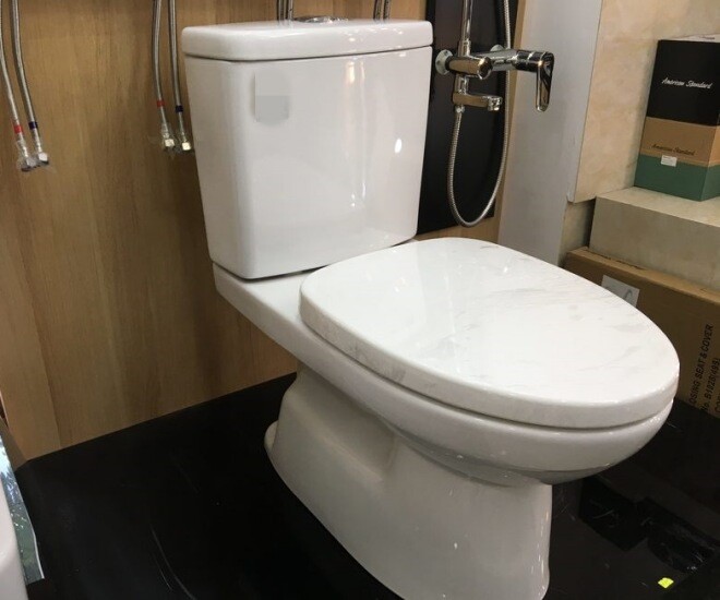 Bồn cầu truyền thống đang dần biến mất khỏi các hộ gia đình? Giờ ai cũng dùng kiểu này, trông thật sang trọng - 1