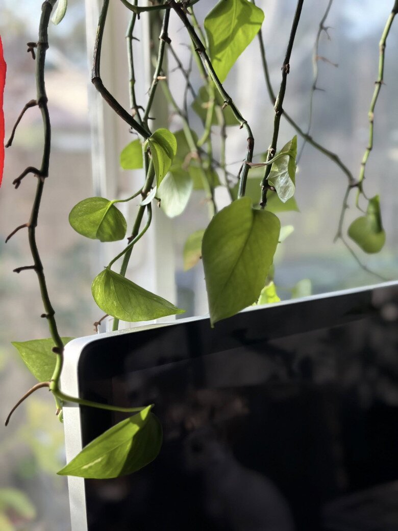 Bên trong căn nhà của Kim Hiền không chạy theo sự hào nhoáng mà tập trung vào cảm xúc. Theo những gì cô chia sẻ, không gian sống mang vẻ đẹp nhẹ nhàng, tinh tế.