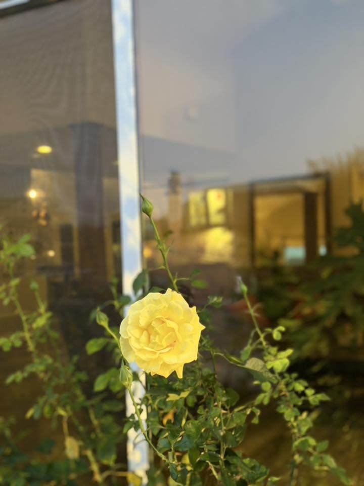 Không gian từ trong ra ngoài được cô bài trí như một trạm sạc năng lượng, nơi sự tĩnh lặng và ánh sáng ấm áp có thể giúp chủ nhân xoa dịu những thương tổn.