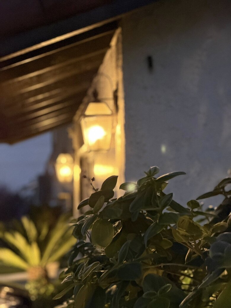 Giữa khu vườn trĩu quả, Kim Hiền không còn thấy mình mất mát, mà thấy mình đang được ấp ủ bởi mẹ thiên nhiên.