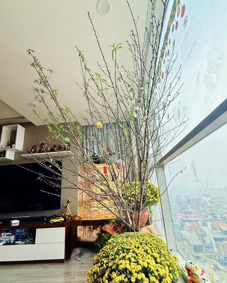 Khu vực sát ô cửa kính view nhìn ra thành phố thường là nơi Hoàng Trang trưng bày những cành hoa cao đầy sức sống hay những chậu cúc vàng rực.