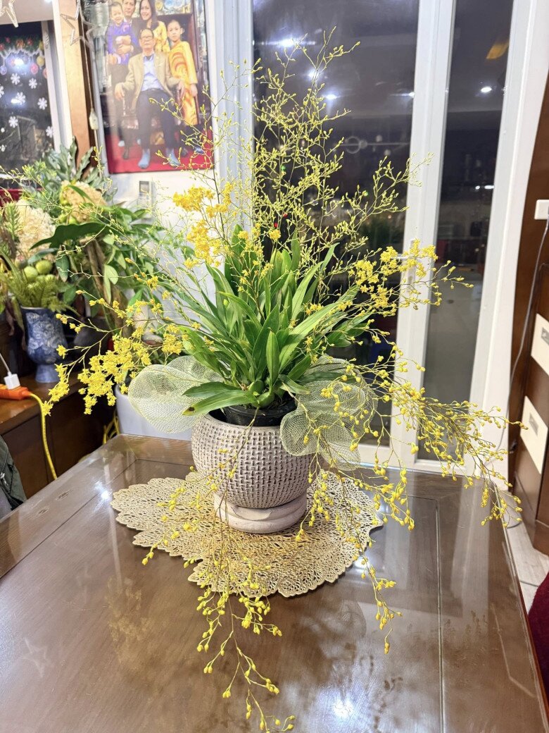 Căn nhà còn được tô điểm bởi những loại cây, hoa mùa xuân khác nhau, góc nào cũng rộn ràng, ngập tràn sinh khí.