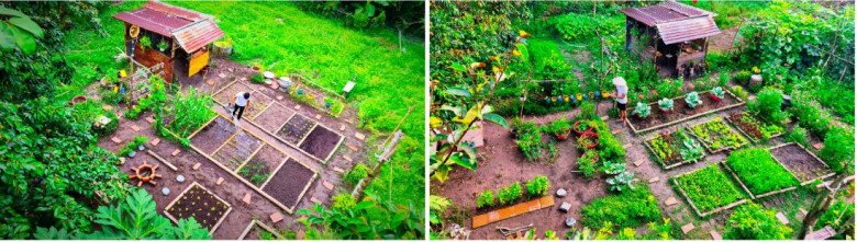 Khu vườn nhìn từ trên cao