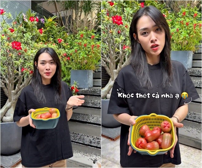 Chỉ sau một buổi sáng thôi mà cây mận của tôi đã rụng như thế này. Nó vẫn chưa chín nha mọi người, có thể là do nhiều trái quá nên nó rụng, Diệp Bảo Ngọc cho biết.