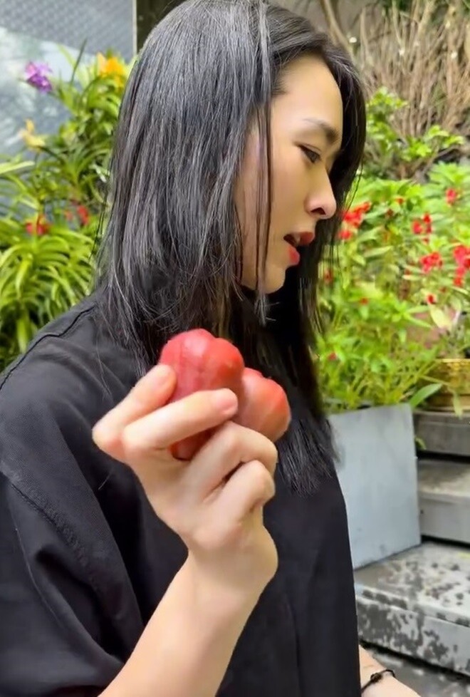 Một tài khoản chia sẻ bí quyết: Nếu mận chưa chín mà rụng, em nên hòa tan Canbo (Canxi-Bo) với nước để tưới. Việc thiếu Canxi và Boron là nguyên nhân chính khiến cuống quả bị yếu, dễ tách rời.