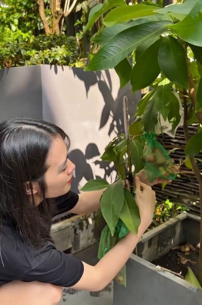 Cô phải nâng niu từng chút một nhưng tình trạng rụng vẫn không thuyên giảm, khiến cô phải ngay lập tức quay video để xin tư vấn từ những người có kinh nghiệm trồng trọt.
