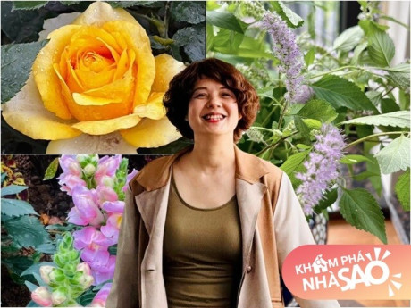 MC Diễm Quỳnh có khu vườn mùa đông đầy sắc màu tuyệt đẹp, đến hoa gia vị cũng được mang vào cắm thơm lừng