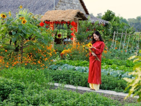 Vợ chồng ở An Giang bỏ phố về quê dựng khu vườn xanh mướt, hút triệu view