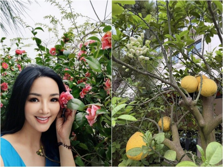 Khu vườn trĩu trịt hoa trái trên ban công biệt thự của Hoa hậu Giáng My: Bưởi chanh lúc lỉu, rau ăn không kịp
