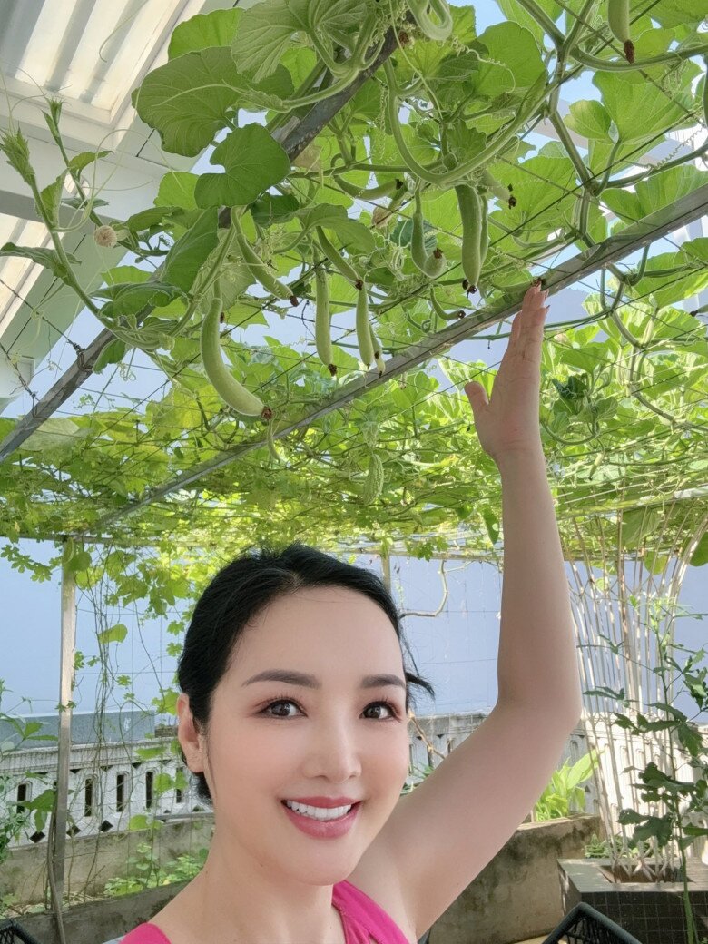 Khu vườn trĩu trịt hoa trái trên ban công biệt thự của Hoa hậu Giáng My: Bưởi chanh lúc lỉu, rau ăn không kịp - 13