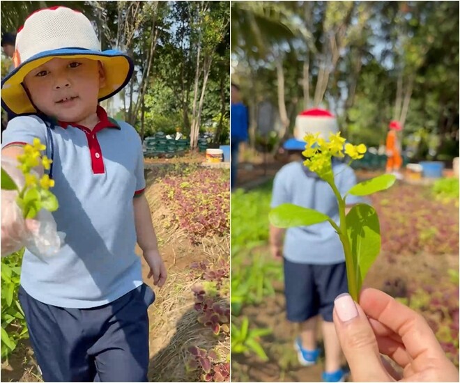 Trên trang cá nhân, nam diễn viên Chi Bảo hài hước đăng tải khoảnh khắc cậu con trai nhỏ đang hăng hái khám phá vườn tược với dòng trạng thái: Đại ca thăm vườn.