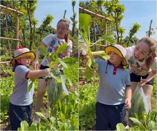 Ngay sau đó, bà xã của anh - Lý Thùy Chang cũng khoe video thu hoạch nông sản đầy ắp giỏ. Cô chia sẻ: Gia Khang về thăm vườn và làm bác nông dân đây.