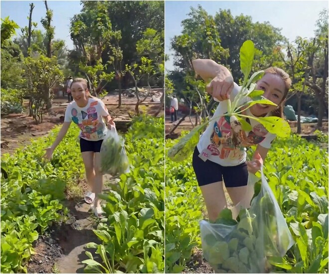 Dù hiện tại gia đình sinh sống gần trung tâm thành phố để thuận tiện cho công việc và học tập, nhưng khu vườn ở Thủ Đức vẫn luôn được chăm sóc kỹ lưỡng nhờ sự giúp sức của một người bạn thân thạo việc trồng trọt. Nhờ vậy, vườn luôn đầy sức sống với đủ loại rau trái theo mùa.