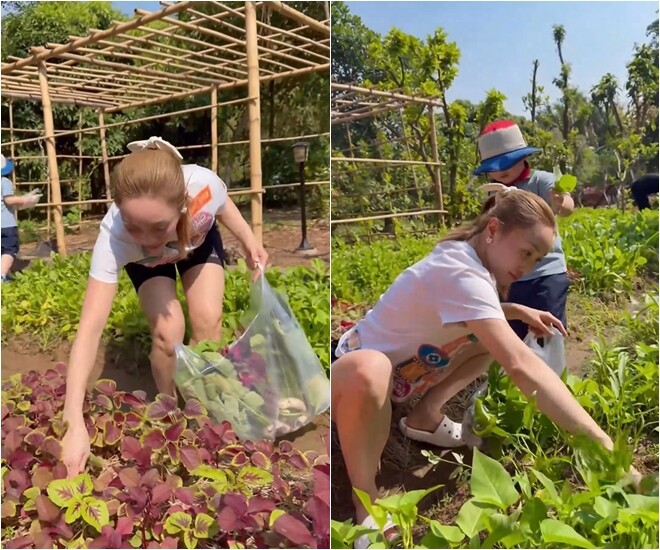 Mấy ngày nghỉ lễ Chang cho 2 con vận động, tập làm vườn và hít thở ít oxy tươi. Chủ đích cũng muốn dạy con biết trân quý lao động. Các cô xem bác nông dân Gia Khang hái được những trái gì nè?, người đẹp bày tỏ.