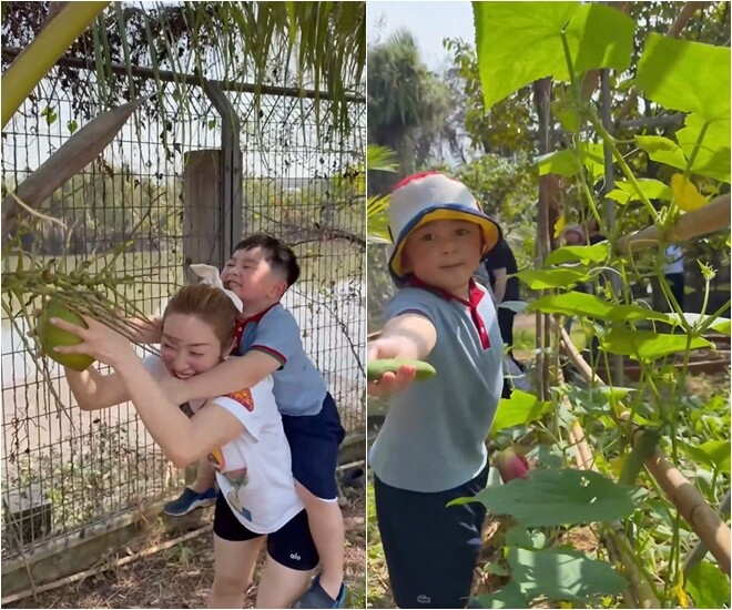 Bên cạnh đó, các loại cây ăn trái như mít và dừa cũng đang vào mùa trĩu quả. Việc tự tay hái và thưởng thức những món ăn chế biến từ nông sản của nhà trồng được mang lại cho gia đình nam diễn viên trải nghiệm thú vị và an tâm tuyệt đối về chất lượng.