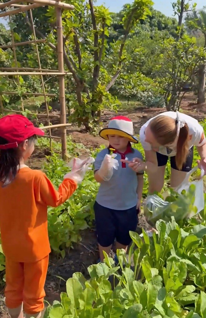 Nhìn những luống rau xanh mướt mắt được chăm sóc tỉ mỉ, nhiều khán giả yêu thích làm vườn đã để lại những bình luận ngưỡng mộ: Ngon quá vườn rau xanh mướt mường mượt luôn nè, Gia Khang làm bác nông dân đáng yêu quá, Chị Chang thật thân thiện, gần gũi và dạy con khéo...