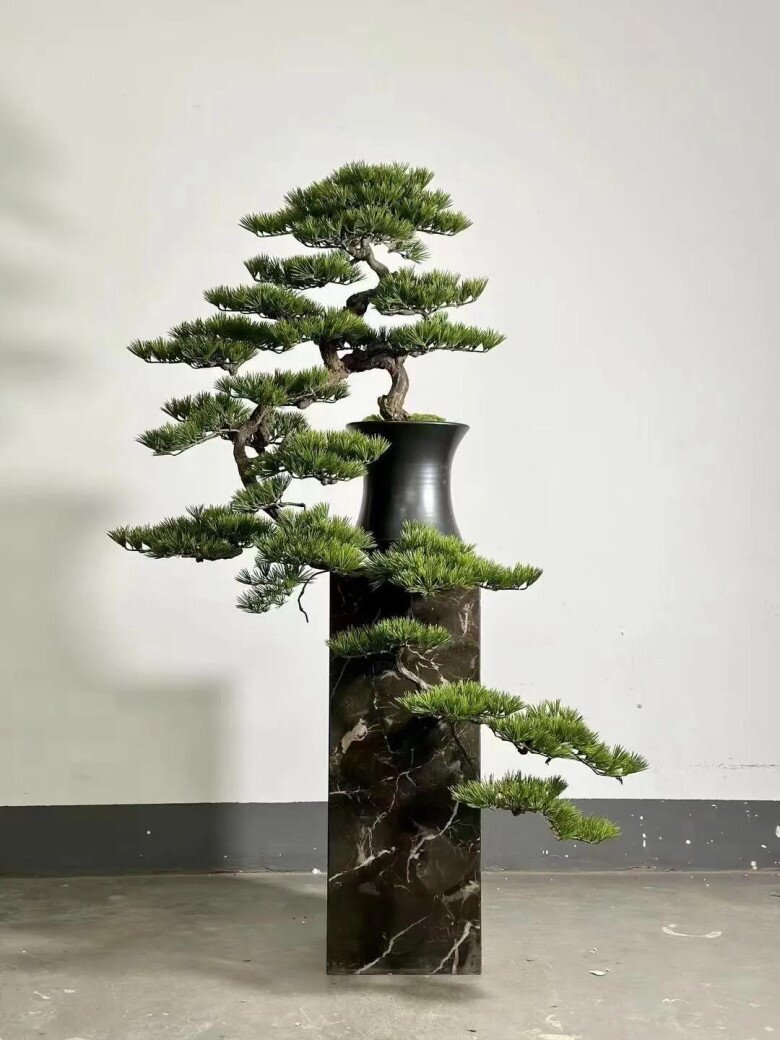 Lưỡi hổ hay kim tiền cũng không bằng 3 loại hoa này, vừa chiêu tài vừa trấn trạch, càng trồng càng có giá - 2