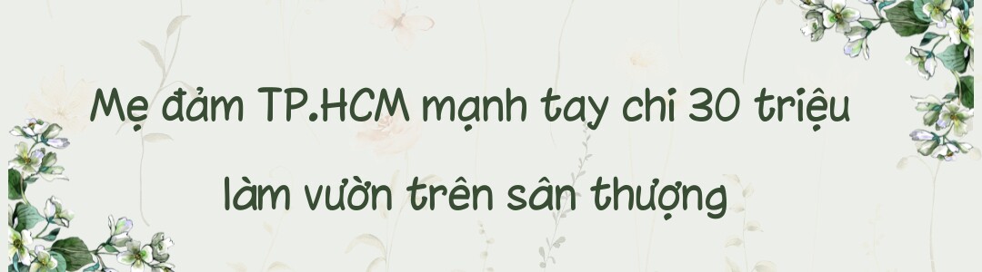 Mẹ đảm TP.HCM chi 30 triệu làm vườn, 4 giờ sáng mỗi ngày lên sân thượng chăm rau - 3
