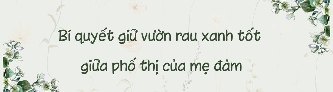 Mẹ đảm TP.HCM chi 30 triệu làm vườn, 4 giờ sáng mỗi ngày lên sân thượng chăm rau - 10
