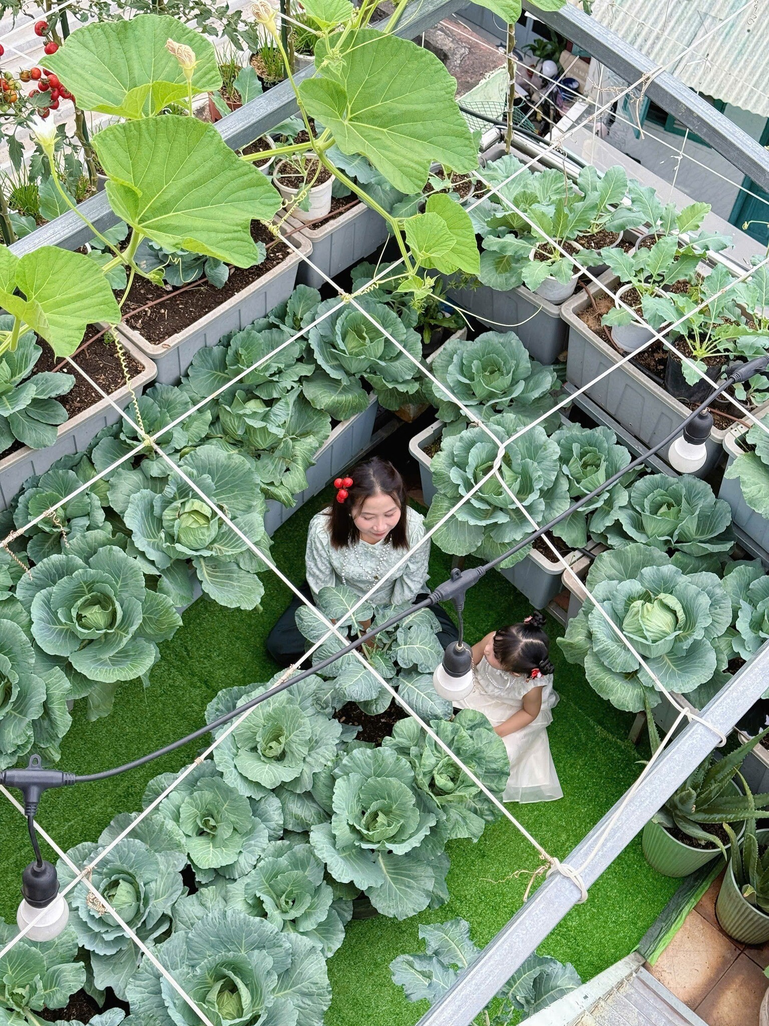 Mẹ đảm TP.HCM chi 30 triệu làm vườn, 4 giờ sáng mỗi ngày lên sân thượng chăm rau - 2