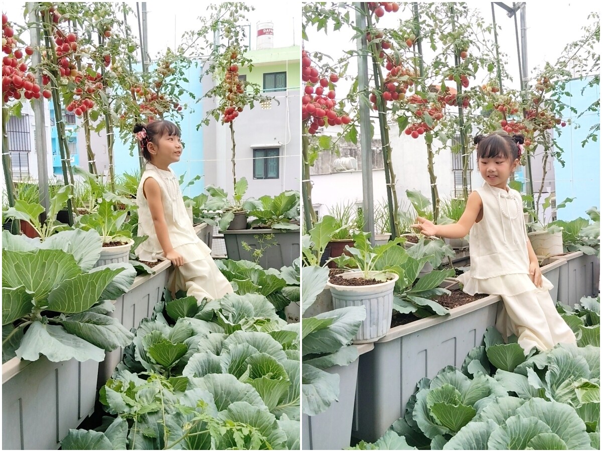 Con gái chị Minh Thừa thích thú trên vườn rau mẹ trồng.