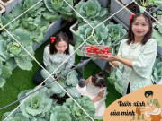 Nhà đẹp - Mẹ đảm TP.HCM chi 30 triệu làm vườn, 4 giờ sáng mỗi ngày lên sân thượng chăm rau