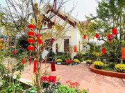 Nhà đẹp - Trồng 10 loại hoa này trước cửa nhà đón Tết Nguyên đán, năm mới tài vận lên cao, gia chủ yên tâm hưởng phúc