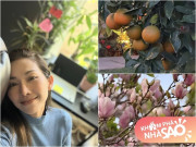 Nhà đẹp - Căn nhà giúp Kim Hiền lấy lại bình yên sau ly hôn chồng thứ 2, khu vườn tuyệt đẹp đầy hoa thơm trái ngọt