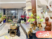 Nhà đẹp - Căn nhà ngập đầy sắc xuân của BTV VTV là con gái của nữ NSND nổi tiếng, còn trưng loại hoa quý hiếm