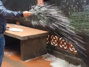 Nhà đẹp - Người xưa dặn: Ngày vía Thần Tài làm 4 việc để tài lộc hanh thông, tiền bạc rủng rỉnh, đây không phải mê tín!