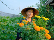 Chàng trai rời phố về quê dựng nhà lá 40m2, xây khu vườn đẹp mê mẩn