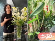 Nhà đẹp - Chồng Việt Hương hái hoa ngoài vườn vào tặng vợ, khoảng xanh tại biệt thự 300 tỷ làm nhiều người thích thú