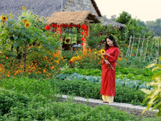 Nhà đẹp - Vợ chồng ở An Giang bỏ phố về quê dựng khu vườn xanh mướt, hút triệu view