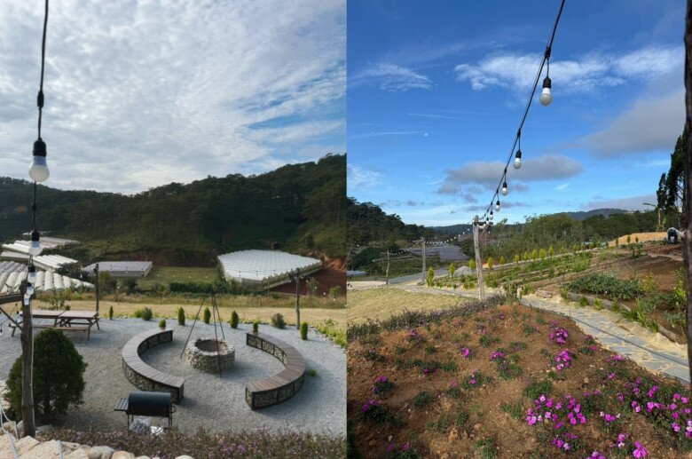 Một Hoa hậu Việt trẻ tuổi amp;#34;chuyển khẩuamp;#34; về Đà Lạt, có cơ ngơi đầy hoa cỏ và hồ cá đẹp như tiên cảnh - 6