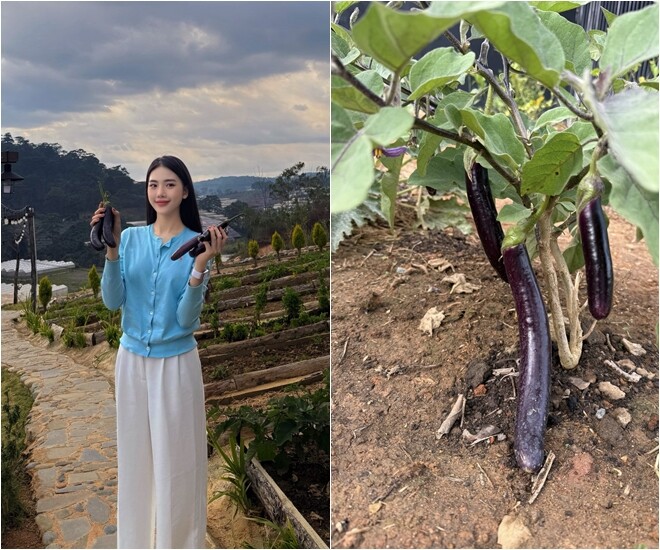 Một Hoa hậu Việt trẻ tuổi amp;#34;chuyển khẩuamp;#34; về Đà Lạt, có cơ ngơi đầy hoa cỏ và hồ cá đẹp như tiên cảnh - 12