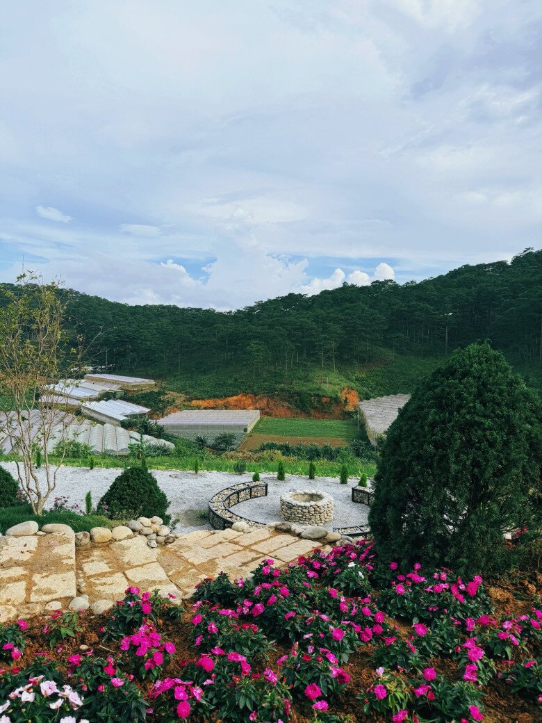 Những khóm hoa rực rỡ sắc màu được trồng bao quanh lối đi, tạo nên một khung cảnh thơ mộng và tràn đầy sức sống cho cơ ngơi của nữ người mẫu tại Đà Lạt.